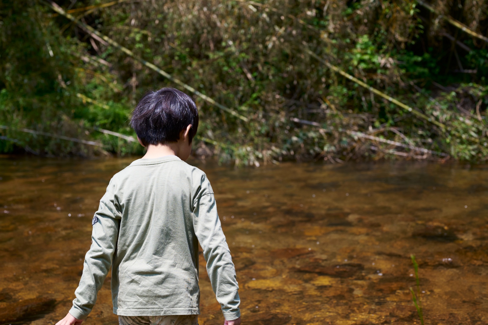 ニコンZ5とNIKKOR Z 50mm f/1.8Sで撮った写真。小学1年生男児にとって小川は遊びの宝庫。残念ながらハンザケはいませんでした。Z5とNIKKOR Z 50mm f/1.8 Sは防塵防滴に配慮した設計なので、多少水がかかるくらいなら大丈夫。とはいえ完全な防水ではないので水に漬けるのはやめましょう。