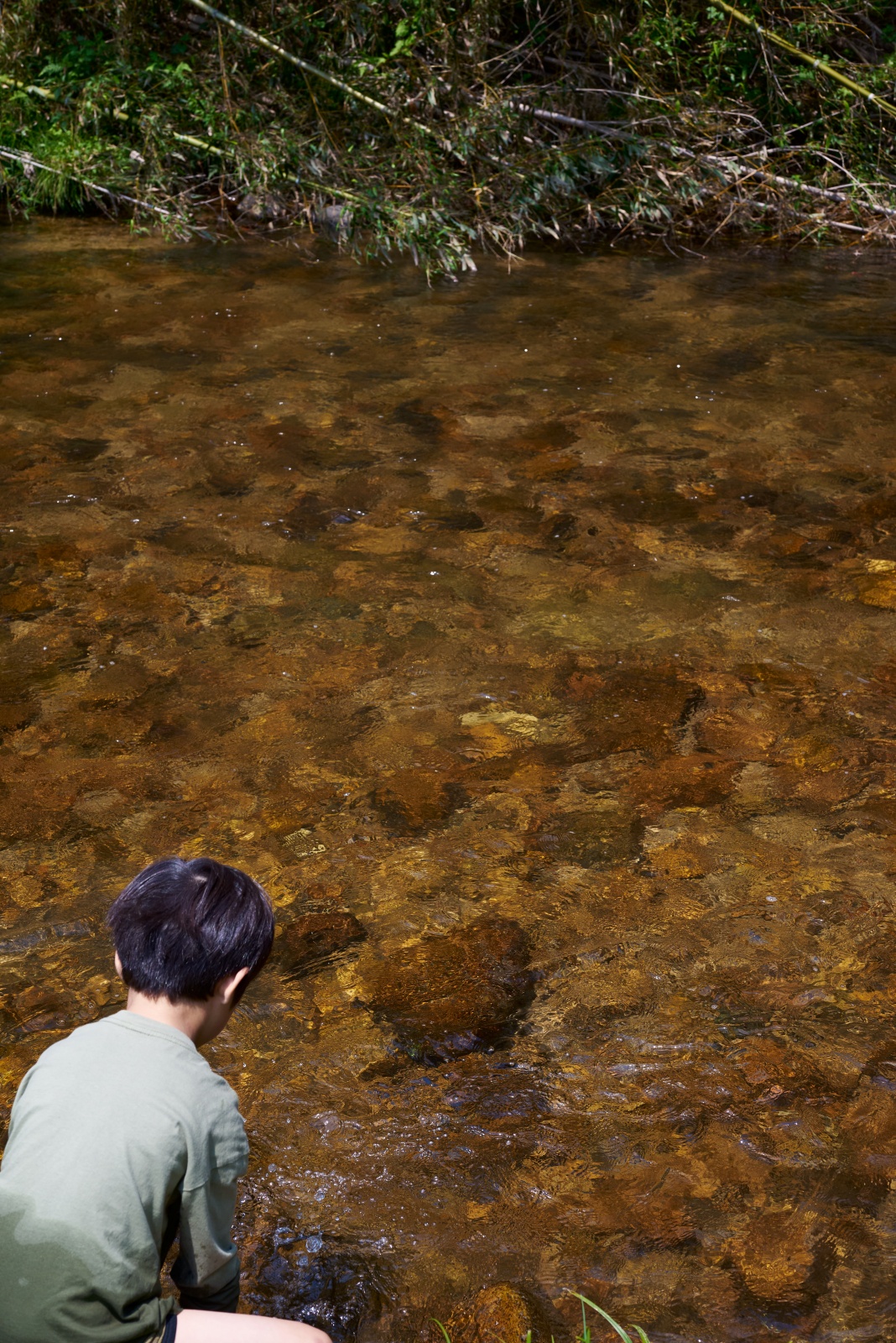 ニコンZ5とNIKKOR Z 50mm f/1.8Sで撮った写真。水中の生き物を探る息子。50mmの単焦点一本だけで撮影していますが、さすが標準と言われるだけあって、切り取っても良し、引いて良しでとても扱いやすい焦点距離だと思います。子どもが成長して物理的に距離が離れてきたというのも50mmが使いやすい要因ですね。もっと小さい頃は手を伸ばすと届く距離にいつもいたので50mmでは切り取り感が強すぎるので、幼児期は24mmか28mmの単焦点がおすすめです。