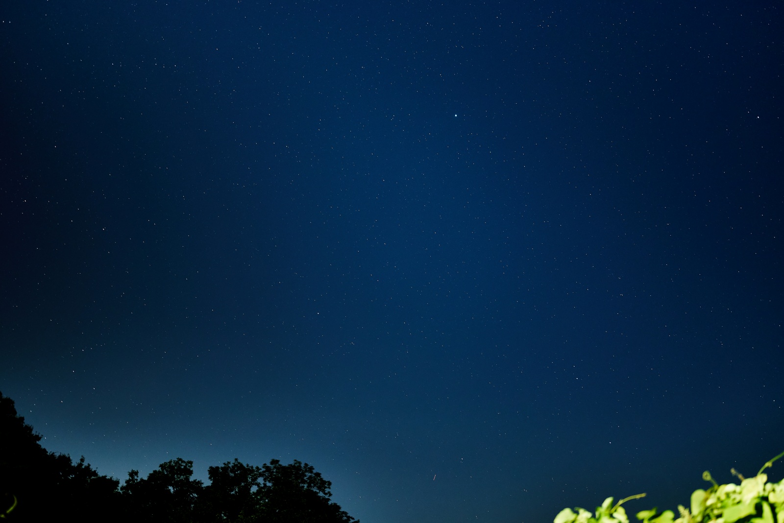 ニコンZ5とNIKKOR Z 50mm f/1.8Sで撮った写真。