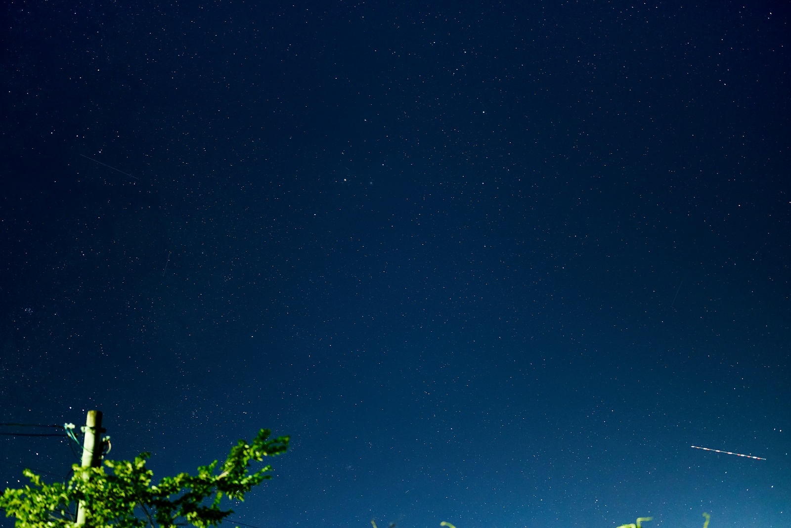 ニコンZ5とNIKKOR Z 50mm f/1.8Sで撮った写真。