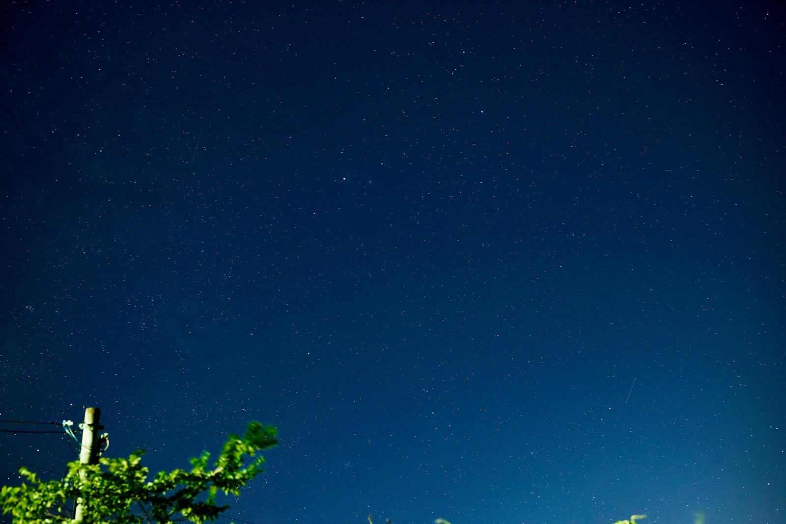 ニコンZ5とNIKKOR Z 50mm f/1.8Sで撮った写真。